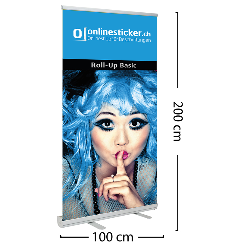 Roll-up Basic 100